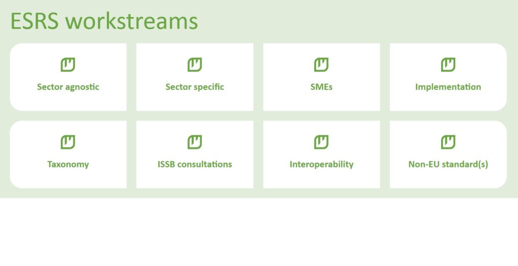 ESRS workstream