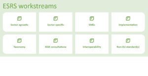 ESRS workstream